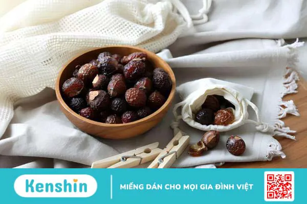 Quả bồ hòn có ăn được không? Một số lưu ý khi sử dụng quả bồ hòn 4