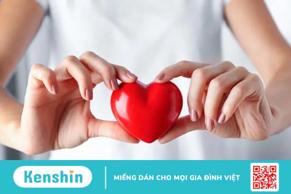 Quả hồ trăn là gì? Giá trị dinh dưỡng và lợi ích của quả hồ trăn như thế nào? 3