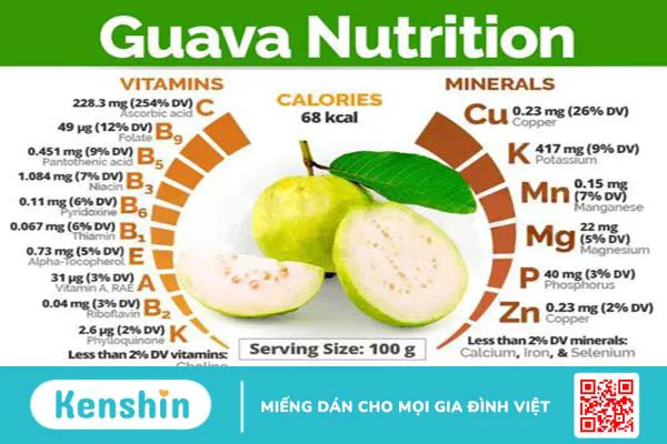 Ổi có vitamin gì 02