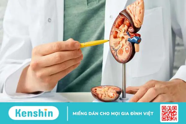 Quầng thâm mắt có phải biểu hiện của bệnh không? Cách trị quầng thâm mắt 1