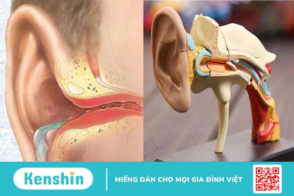 Rạch chích mủ màng nhĩ trị bệnh viêm tai giữa 2