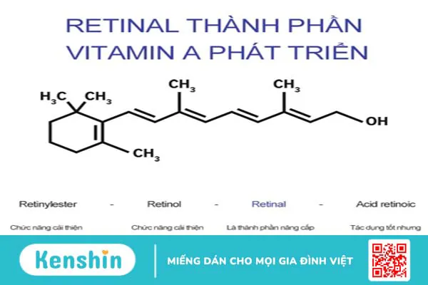 Retinal là gì? Công dụng và cách sử dụng hiệu quả 5