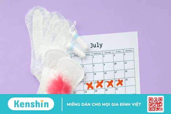 Siêu âm phụ khoa là gì? Mục đích của siêu âm phụ khoa 4