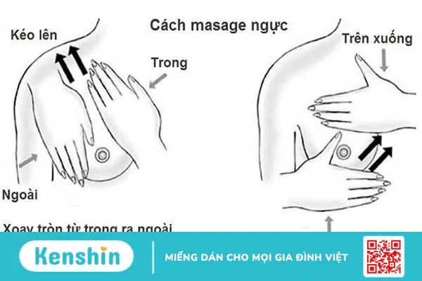 Massage tăng vòng 1 cho bạn nữ