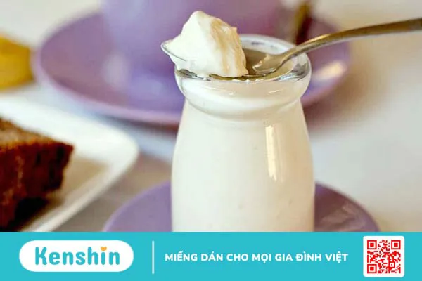 sữa chua men sống là gì