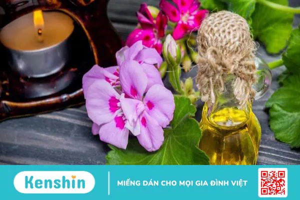 Tác dụng của tinh dầu phong lữ là gì? 2