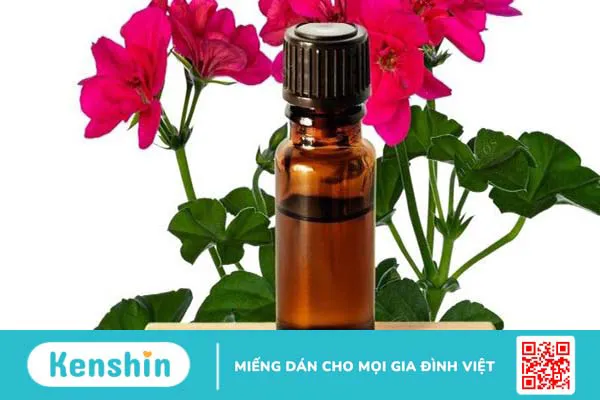 Tác dụng của tinh dầu phong lữ là gì? 3