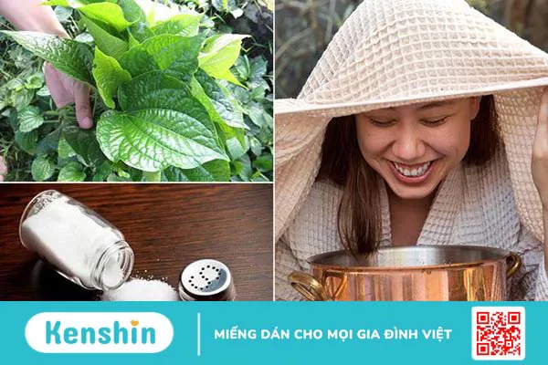 Cách xông hơi bằng lá lốt đơn giản tại nhà 3