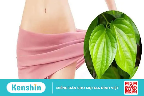 Cách xông hơi bằng lá lốt đơn giản tại nhà 4