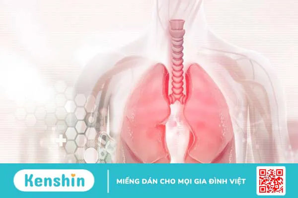 Tác hại của HIV/AIDS và cách phòng tránh nhiễm bệnh 2