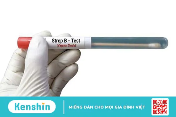 Tại sao cần làm xét nghiệm GBS? Ý nghĩa của xét nghiệm GBS đối với phụ nữ có thai như thế nào?+1