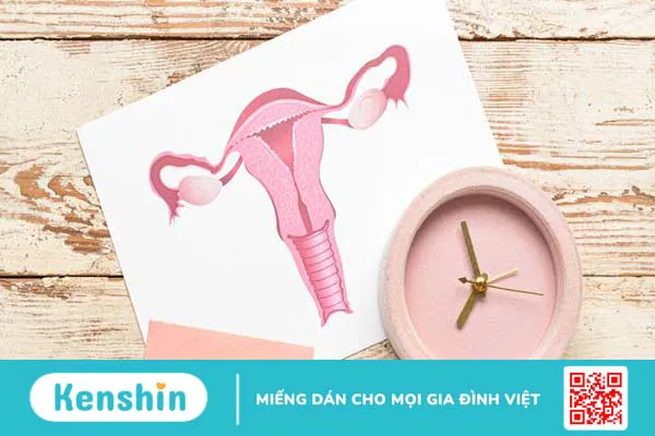 Tại sao đến tháng bụng lại to? Làm sao để bụng bị to khi đến tháng?