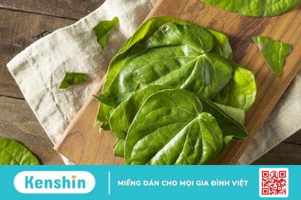 Cách chữa tiền liệt tuyến bằng lá trầu không đơn giản tại nhà 2