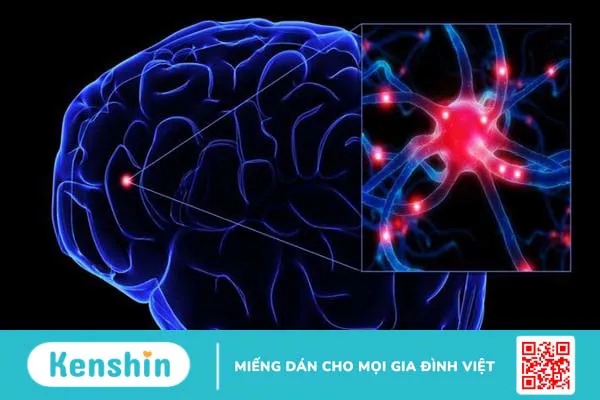 Thiếu chất dẫn truyền thần kinh là do nguyên nhân gì? 3