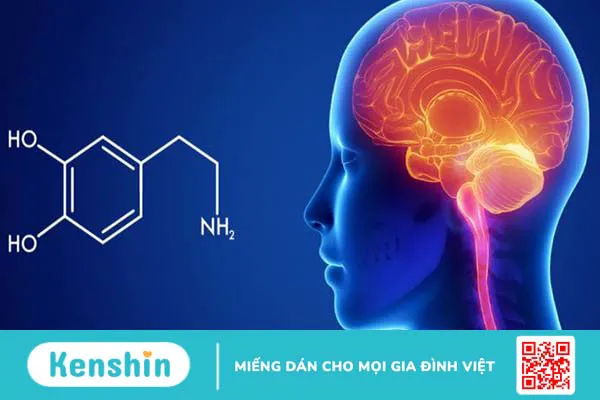 Thiếu chất dẫn truyền thần kinh là do nguyên nhân gì? 4