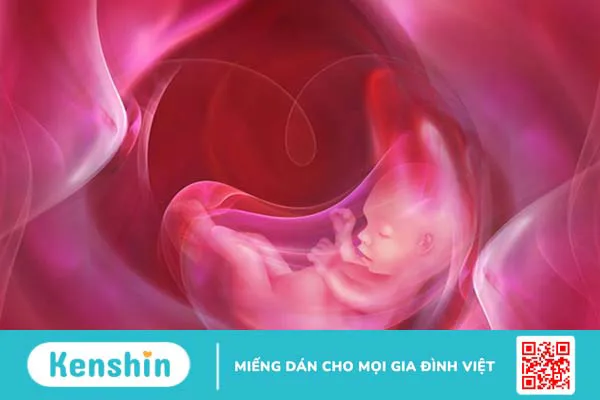 Thiếu ối: Tình trạng nguy hiểm mẹ bầu không được chủ quan 1