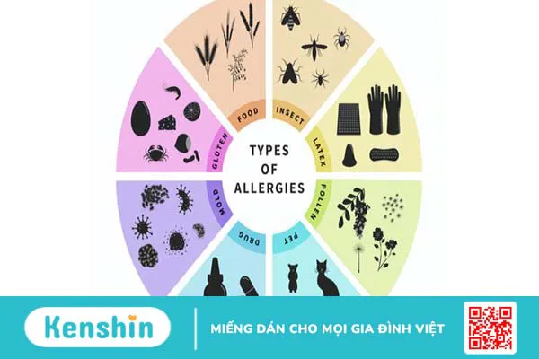 Thuốc kháng Histamin H1 điều gì bệnh gì? Và những điều cần lưu ý 2