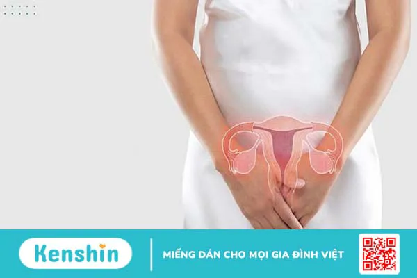 Thuốc kháng sinh chữa viêm phụ khoa: Những loại thuốc bạn cần biết và cách sử dụng 1