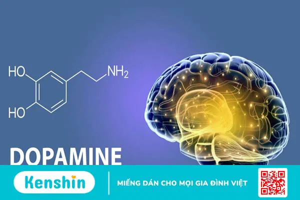 Dopamin được sử dụng để làm hạ huyết áp trong sốc nhiễm trùng và điều trị suy tim