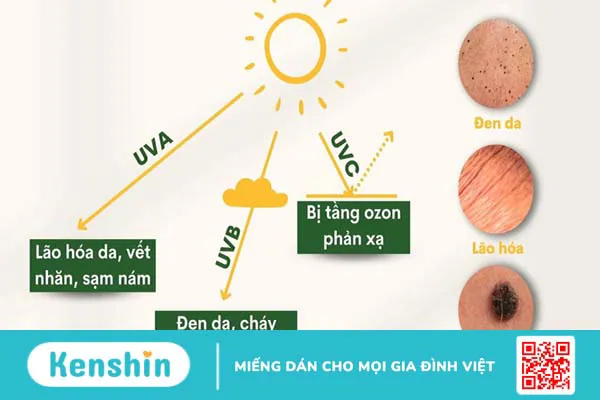 Tia UV có mấy loại và ảnh hưởng sức khỏe của từng loại là gì? -2