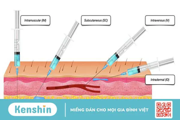 Tiêm mông ở vị trí nào là an toàn? 2