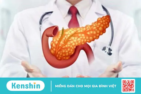 Tìm hiểu nguyên nhân và cách điều trị khi đi ngoài ra bọt 1