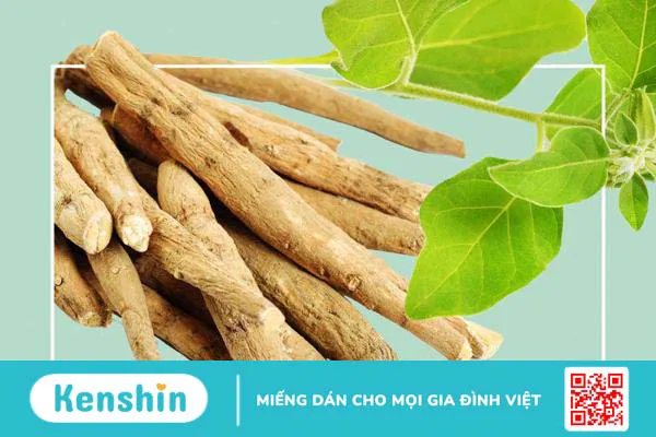 Sâm Ấn Độ có giúp bạn ngủ ngon hơn không? 1