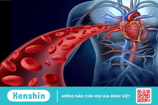 Tìm hiểu số lượng hồng cầu ở cơ thể người bình thường là bao nhiêu? 1