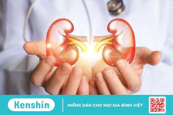 Tìm hiểu ý nghĩa của chỉ số SG trong nước tiểu 3