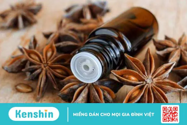 Tinh dầu hồi là gì? Công dụng của tinh dầu hồi 1