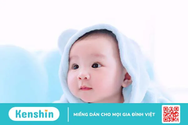 Tinh dầu hồi là gì? Công dụng của tinh dầu hồi 4