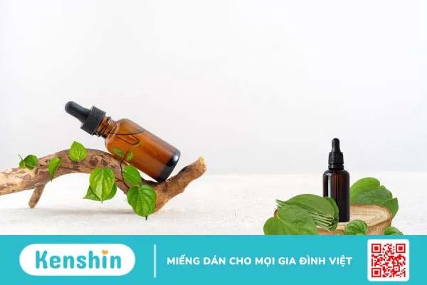 Tinh dầu trầu không và những lợi ích cho sức khỏe 2