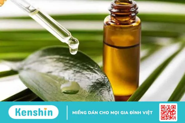 Tinh dầu hồi là gì? Công dụng của tinh dầu hồi 3