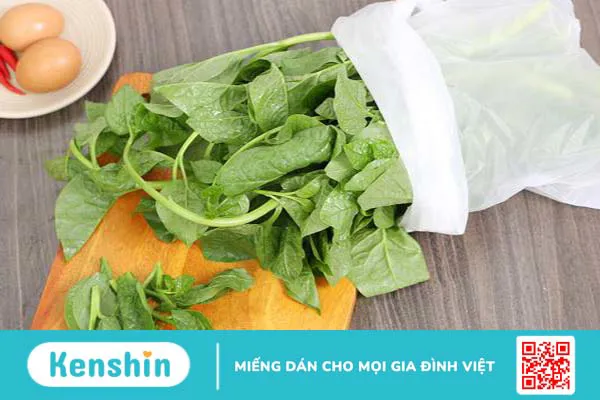 Trẻ em ăn rau mồng tơi có tốt không? Những lưu ý khi cho trẻ ăn rau mồng tơi 3