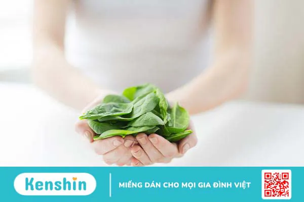 Trẻ em ăn rau mồng tơi có tốt không? Những lưu ý khi cho trẻ ăn rau mồng tơi 4