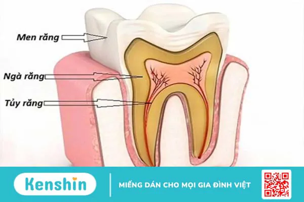 Trồng răng có cần lấy tủy không? 1