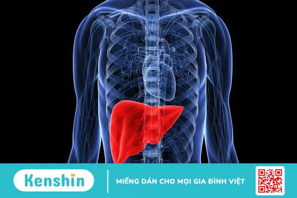 U ác khí quản: Yếu tố nguy cơ, triệu chứng biểu hiện bệnh và giai đoạn ung thư 4