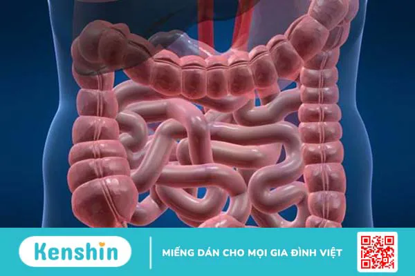 Ung thư ruột non có nguy hiểm không? Dấu hiệu và cách điều trị 3