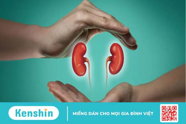 Uống nhiều nước có tác dụng gì đối với cơ thể? 3