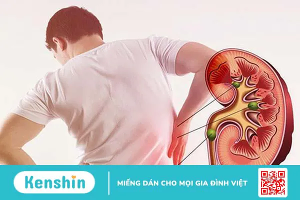 Uống nước râu ngô thường xuyên có tốt không? 1