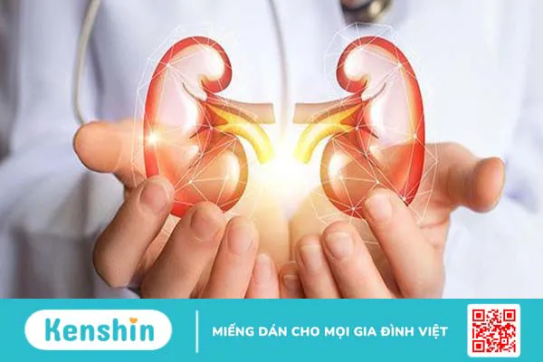 Uống thuốc tiểu đường có ảnh hưởng đến thận không? 4