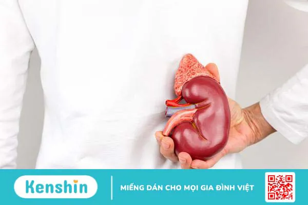 Uống trà xanh có tốt cho thận không? 2