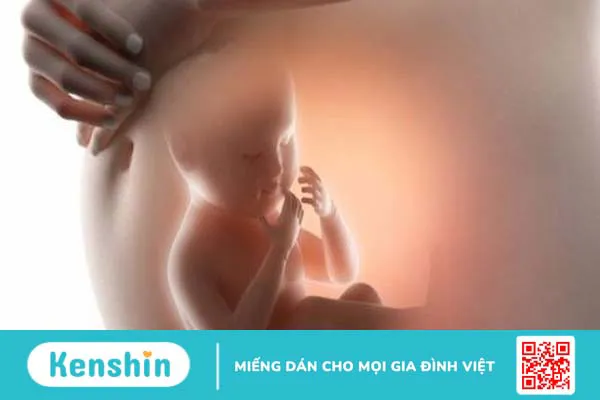 Van động mạch chủ hai mảnh: Nguyên nhân, triệu chứng và cách điều trị 1