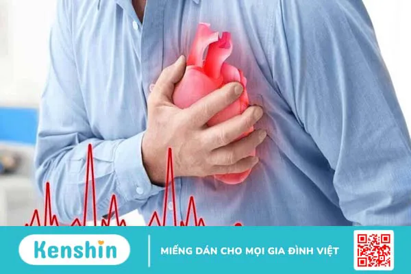 Van động mạch chủ hai mảnh: Nguyên nhân, triệu chứng và cách điều trị 3