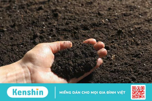 Vi khuẩn ăn thịt người có ở đâu? Thời điểm có nguy cơ cao mắc bệnh nhất 2