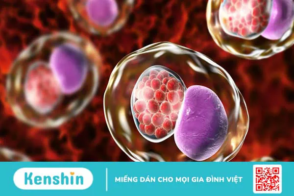 Vi khuẩn Chlamydia trachomatis gây bệnh gì? 1