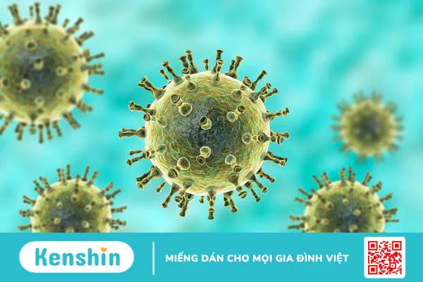 Virus thủy đậu sống bao lâu trong không khí? Hình thức dễ lây nhiễm của bệnh 1