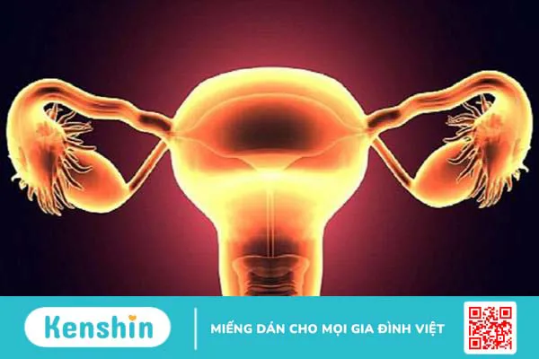 Vô sinh do không có tử cung có điều trị và phòng ngừa được không? 3