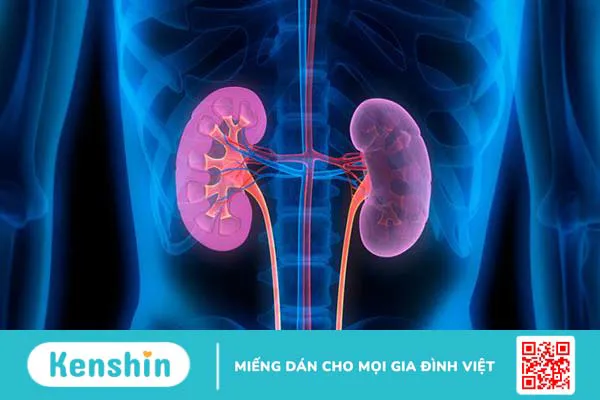 Xét nghiệm protein niệu 24 giờ là gì? Có tác dụng gì? 3