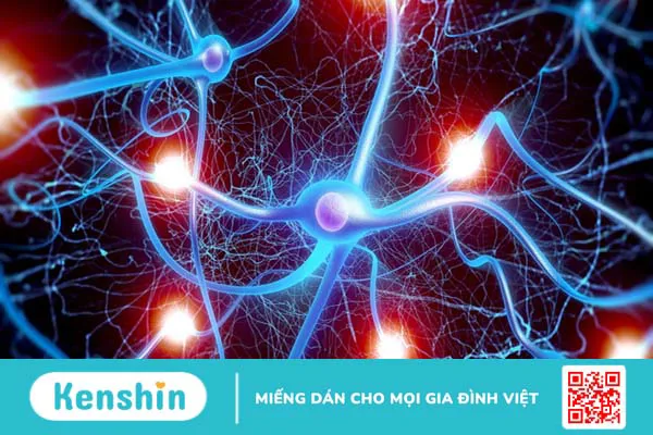 Xung thần kinh là gì? Các bệnh lý xung thần kinh thường gặp 1